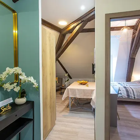 #cnj - Chez Juliette Et Nicolas- Centre Historique - Au Calme - Wifi - Tout Confort Colmar